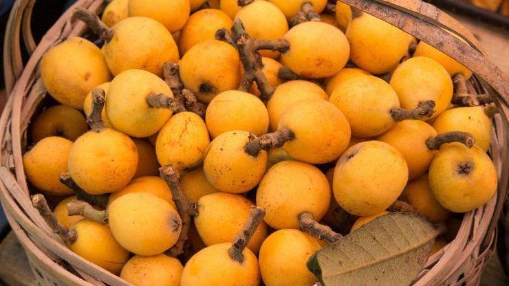Merak uyandırdı: Yeni dünya meyvesi Malta eriğinin 7 müthiş faydası