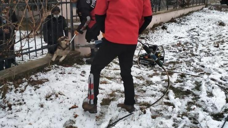Demirlere sıkışan köpek kurtarıldı