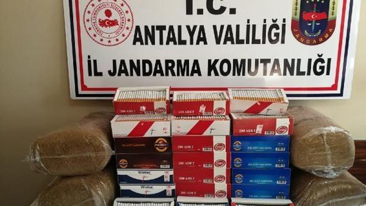 Jandarmadan pazar yerinde tütün operasyonu