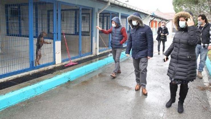 Nilüfer Hayvan Bakım ve Tedavi Merkezi, İzmit’e örnek olacak