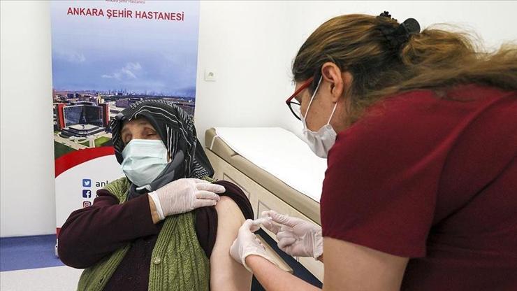 Aşı sırasına nasıl bakılır Koronavirüs covid-19 aşı sırası öğrenme