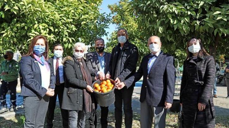 Atıl durumdaki turunç ekonomiye kazandırılıyor