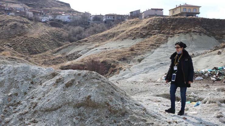Nevşehirde ayakları bağlı ölü bulunan 10 köpeğin zehirlendiği ortaya çıktı