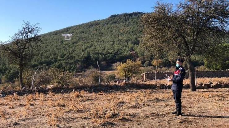 Ailesiyle yazlığına gelen tıp öğrencisi kayboldu