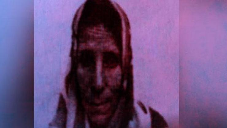 Canice öldürüldü 3 gözaltı