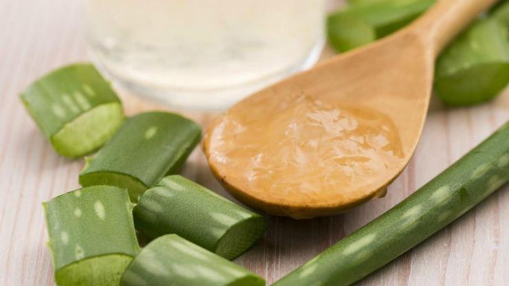 Aloe Vera Bitkisinin Sağlığa Faydaları Nelerdir Aloe Vera Çiçeğinin Bakımı Nasıl Yapılır