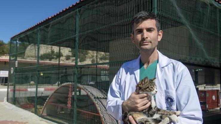 Patili dostlar için kısırlaştırmanın önemi konuşuldu