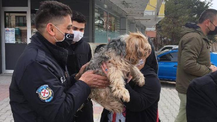 Çaldığı cins köpekleri satmak isterken yakalandı