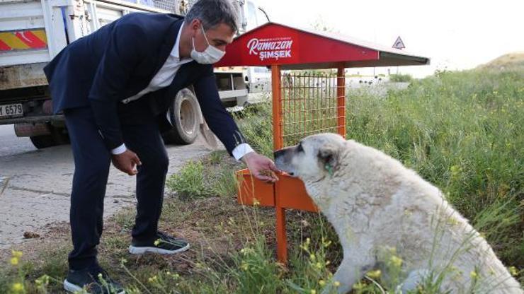 Gölbaşı Belediye Başkanı Şimşek: Köpek ölümleriyle ilgili suç duyurusunda bulunacağız