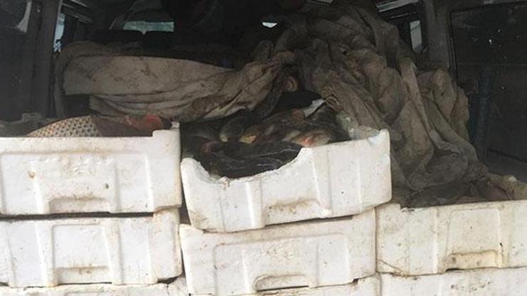 Ekipler şüphe üzerine durdurdu Tam 800 kilogram