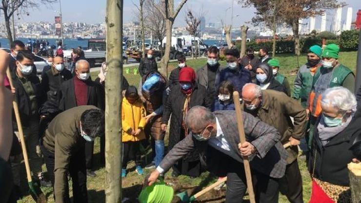 Üsküdar’da izinsiz kesilen ağaçların yerine yenisini çınarlar dikti