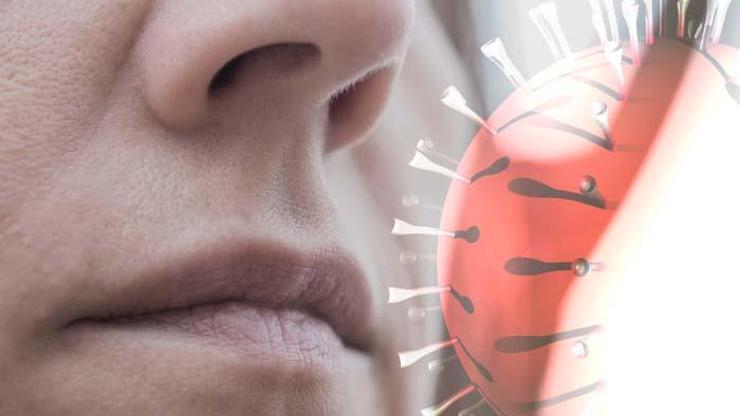 Covid’e bağlı koku ve tat bozukluğu oranımız Çin ve Uzakdoğu’nun iki katı