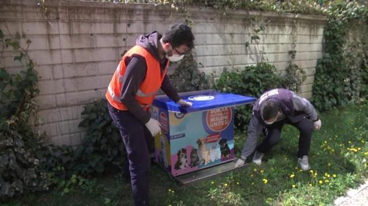 Yıldırım Belediyesi sokak hayvanlarını için çalışıyor