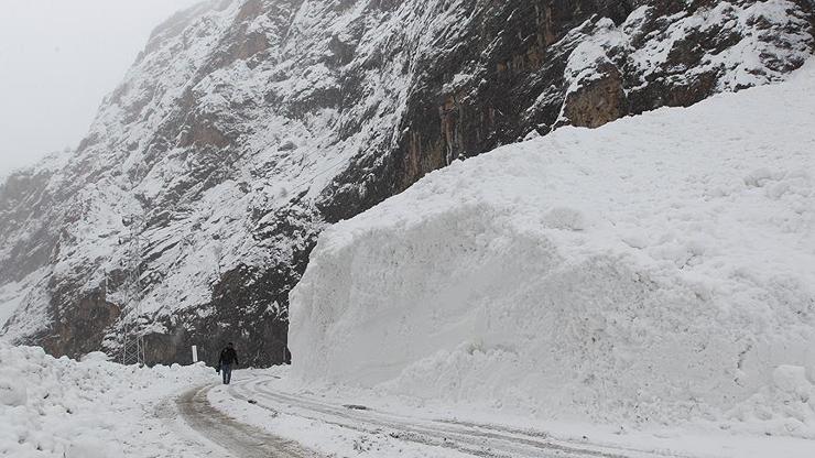 Meteoroloji uyardı: 4 il için çığ tehlikesi