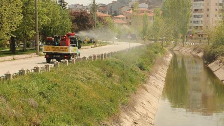 Odunpazarı’nda ilaçlama çalışmaları titizlikle devam ediyor