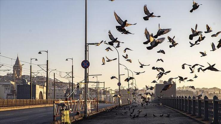 Sokağa çıkma yasağı uzatılacak mı Tam kapanma için Gözler Kabine Toplantısı kararlarında