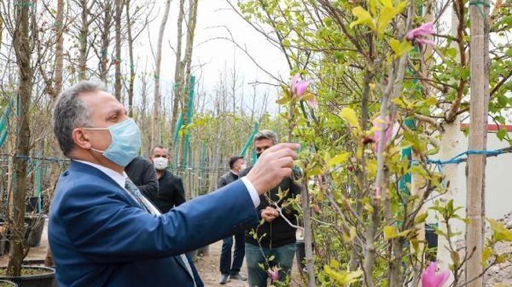 Talas’a 10 bin metrekarelik fidanlık