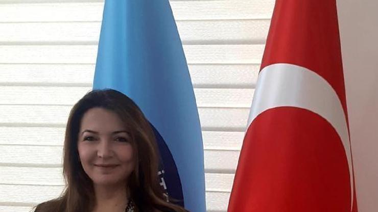 Profesör Sertin projesine uluslararası destek