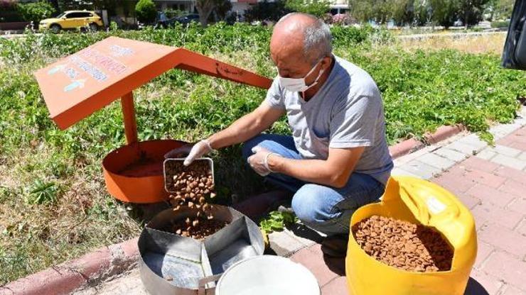 Konyaaltında minik dostlar yalnız değil