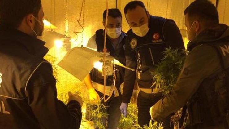 Uyuşturucu serasına çevrilen daireye baskın