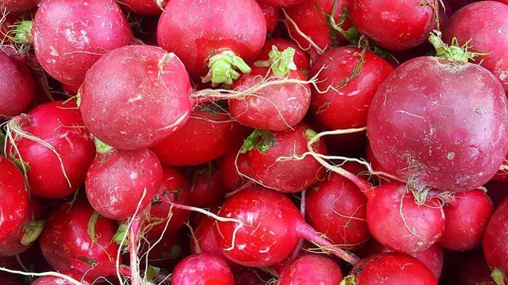 1 hafta boyunca turp suyu içmenin faydaları