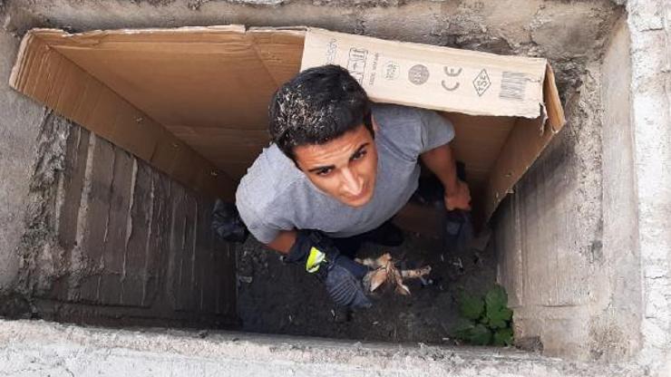 Büyükşehir itfaiyesinden kedi kurtarma operasyonu