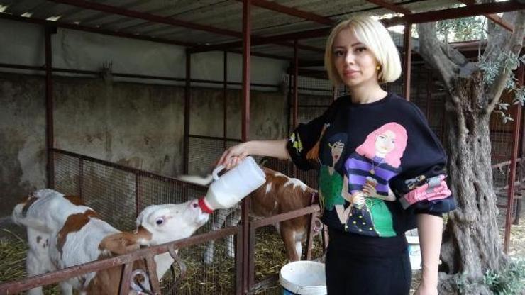 Spikerliği bıraktı, 3 yıl önce besi çiftliği kurup süt üretimine başladı