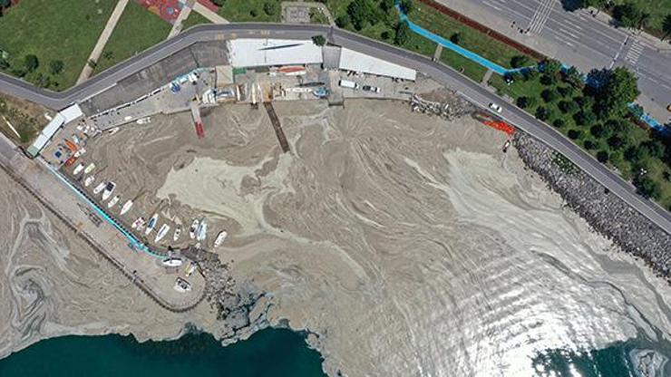 TBMMde müsilaj sorunuyla ilgili araştırma komisyonu kurulacak