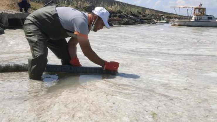 Lapseki Belediyesi’nden müsilaj temizliği