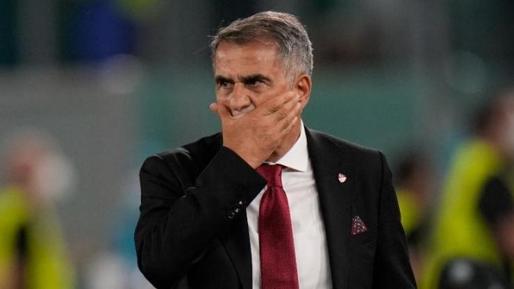 Şenol Güneş: Oyundan ve skordan memnun değilim