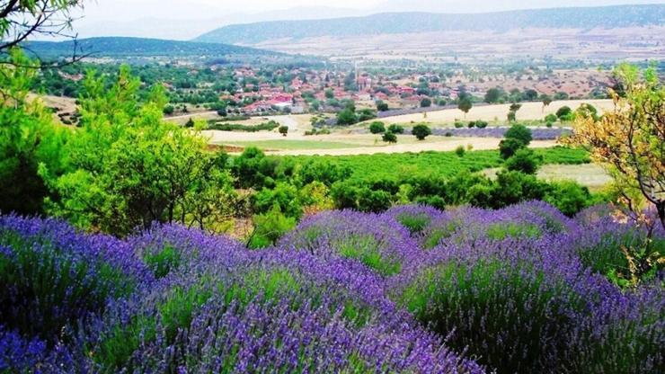 Kuyucak Nerede, Nasıl Gidilir Kuyucak Gezilecek Yerler Nelerdir
