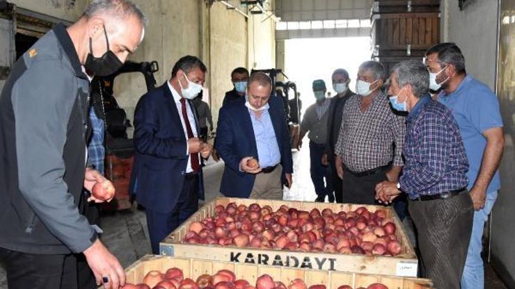 Eğirdirde elma için toplantı