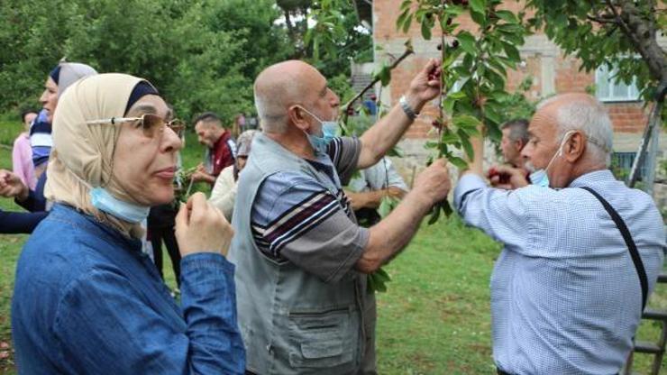 Filistinli turistler dalından meyve yedi, balıkları besledi