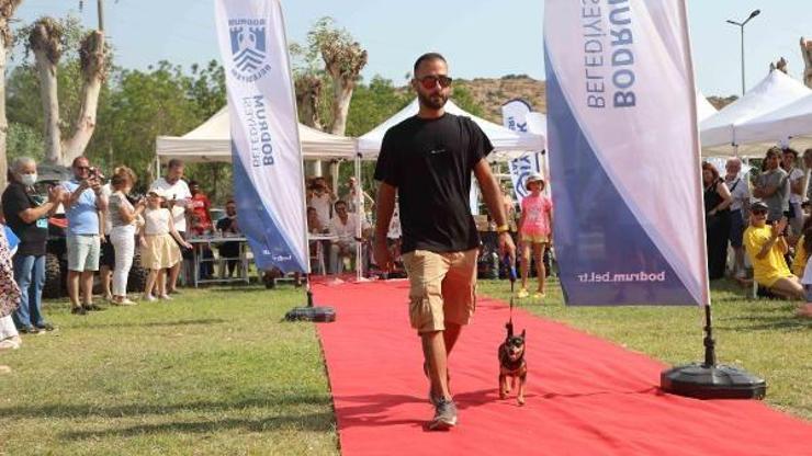 Bodrumda can dostları için festival