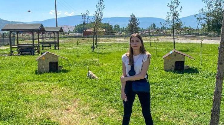 Kendi yaptığı köpek kulübelerini belediyeye bağışladı