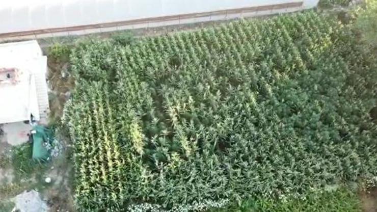 Alanyada uyuşturucu operasyonu: 1 gözaltı