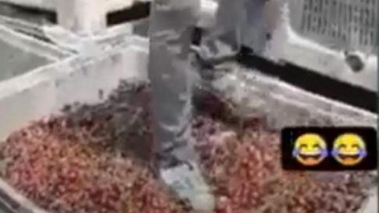 Vişnelerin ayakkabıyla çiğnenmesiyle ilgili gözaltındaki 4 kişi serbest