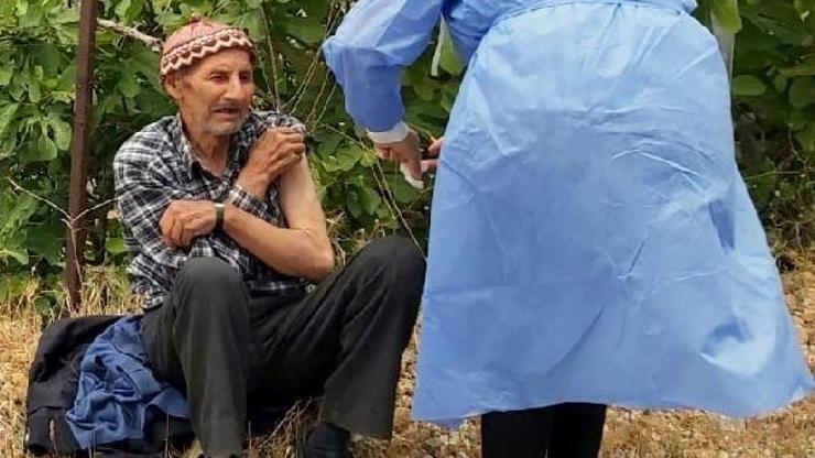 Yaşlı adam İncir bahçesinde koronavirüs aşısı oldu
