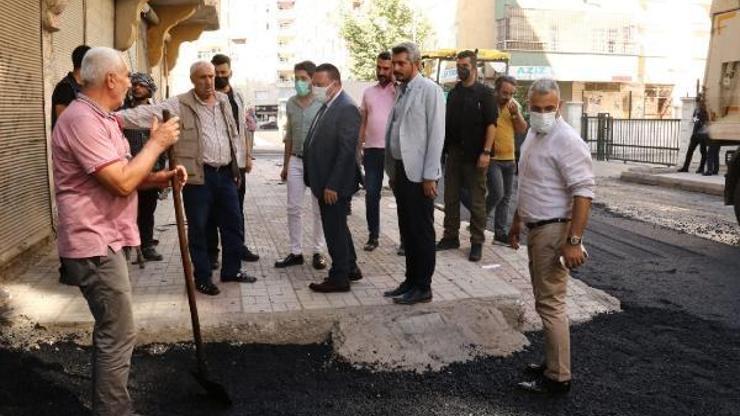Bağlar yeni yüzüne kavuştu