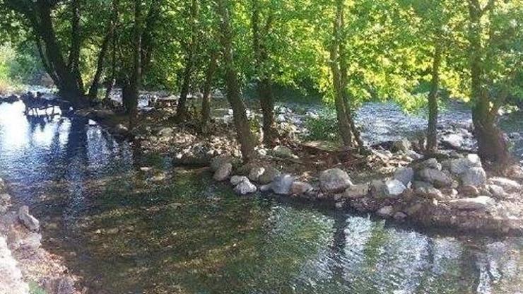 Bir ilde daha ormanlik alana giriş yasaklandı
