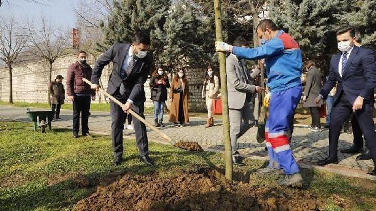 Kağıthane Belediyesi Manavgat’a 10 bin fidan gönderecek