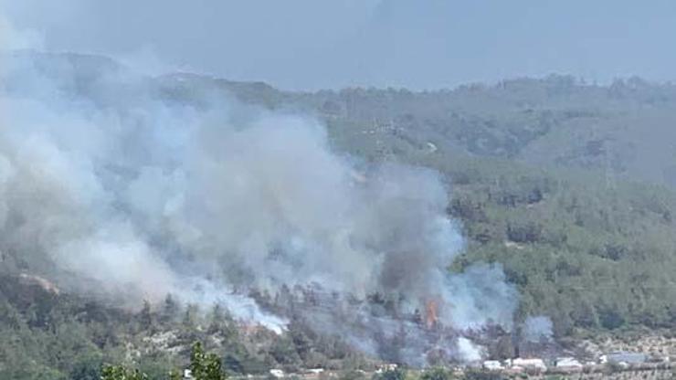 Hatay Dörtyolda orman yangını