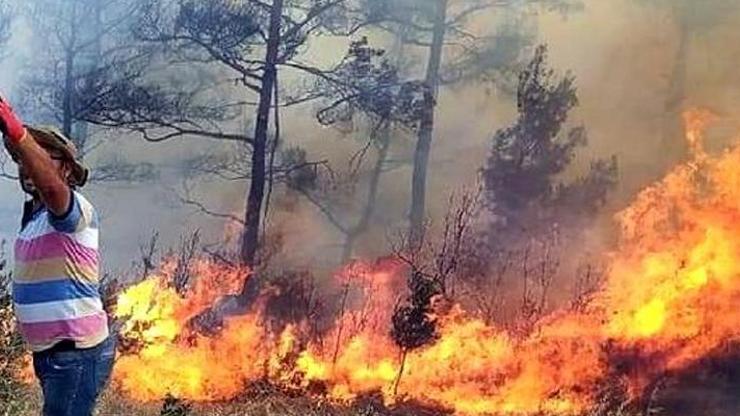 Muğla yangınlarında 62 mahalle ve 38 bin 715 kişi tahliye edildi