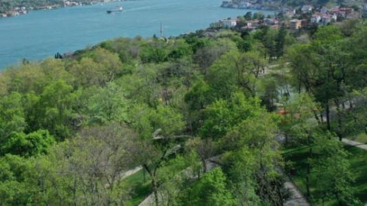 İstanbul’da ormana girmek yasak mı İstanbul’da ormana giriş ve piknik yasağı uzatıldı