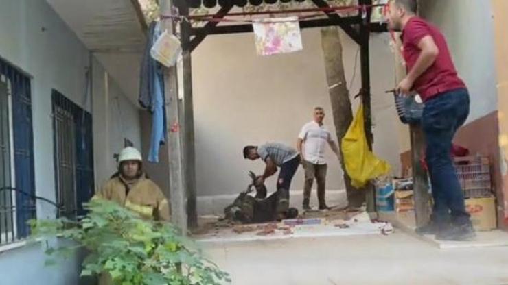 Alevlerin arasına düşen itfaiye erinin tedavisi sürüyor