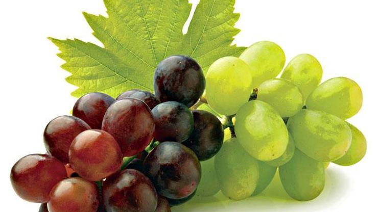 Üzüm Üzüme Baka Baka Kararır Atasözünün Anlamı Nedir Kısaca Açıklaması Ve Örnek Cümle… Nedir