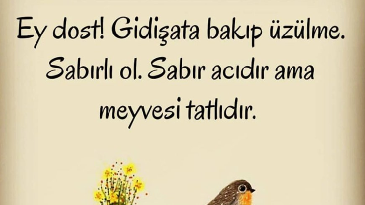 Sabır Acıdır Meyvesi Tatlıdır Atasözünün Anlamı Nedir Kısaca Açıklaması Ve Örnek Cümle…