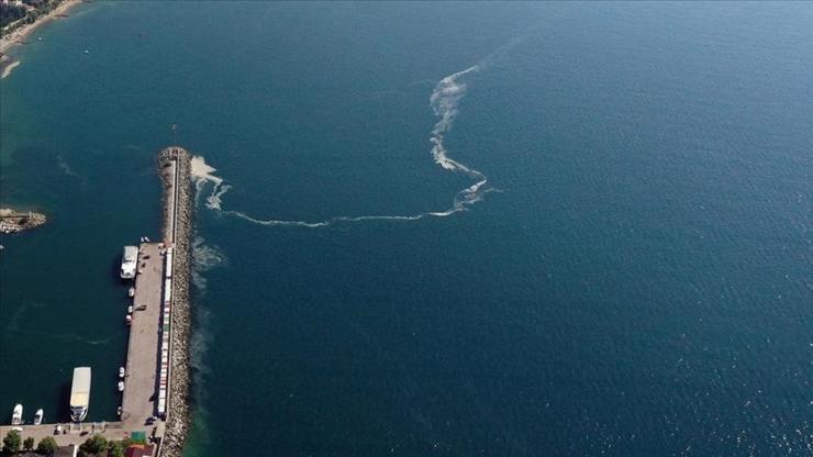 Marmara Denizinde yeni tehlike: Oksijen azlığı