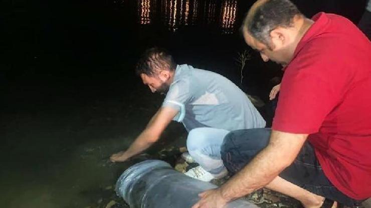 Mardinde göletlere 918 bin yavru sazan balığı bırakıldı