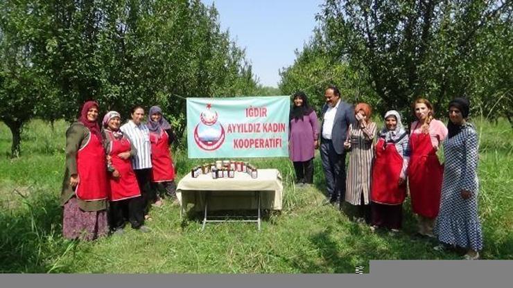 Önce kooperatif, sonra üretim tesisi kurdular